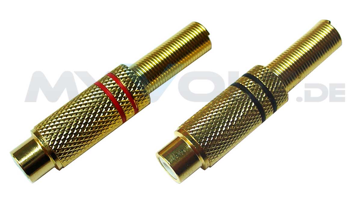 Cinch-Buchse GOLD Cinch-Buchse GOLD
